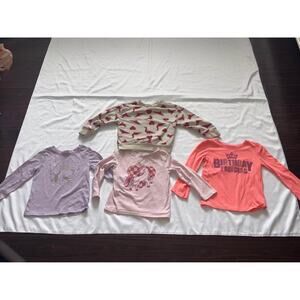 Toddler Girl Clothes Bundle Lot 4 Long Sleeve Tops Sweatshirt Size 2T 3T